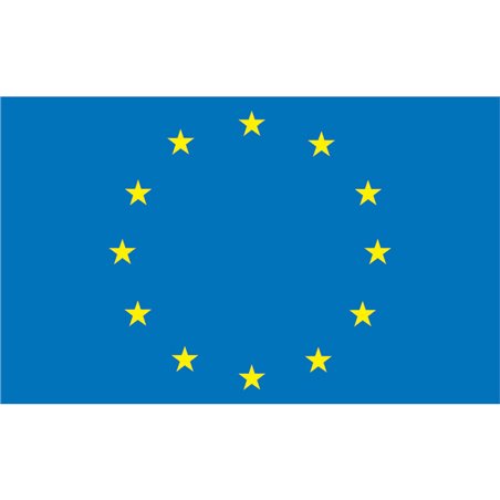 European Flag 20 x 30cm