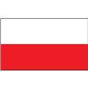 Polish Flag 20 x 30cm