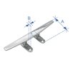 Δέστρα Επίπεδη, Χαμηλή, Inox 316, 203,2mm (8)